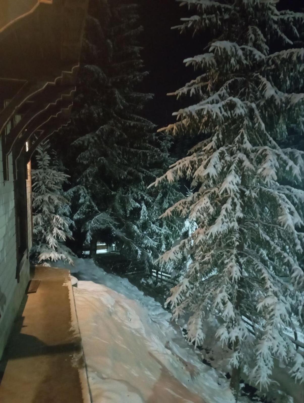 Котеджі У Яни Яблоница Экстерьер фото